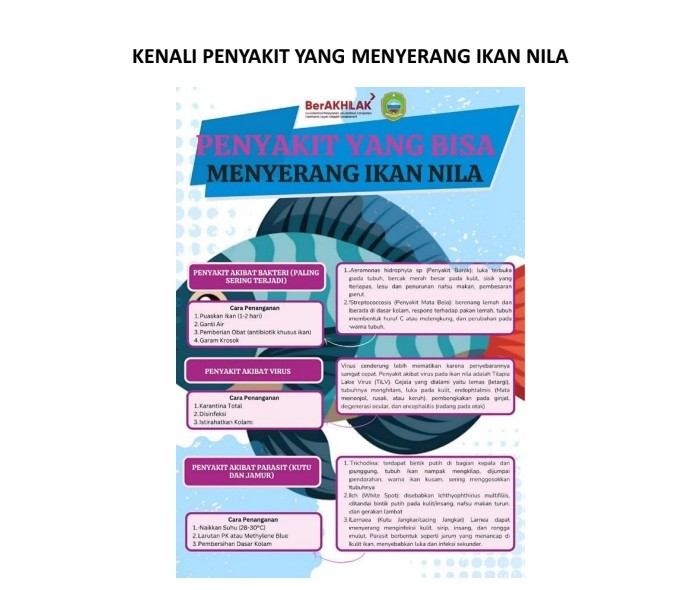 Kenali Penyakit Yang Menyerang Ikan Nila
